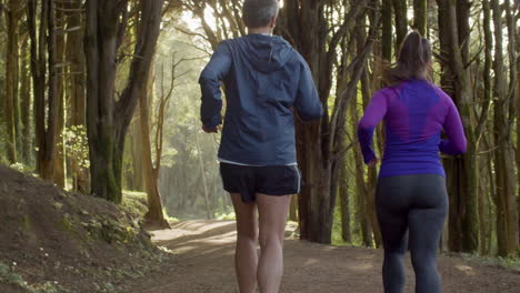 hombre con gafas y mujer corriendo juntos en el bosque