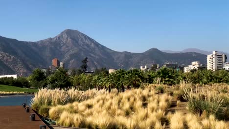 Meadow-in-park-in-santiago,-manquehue-hill-behind