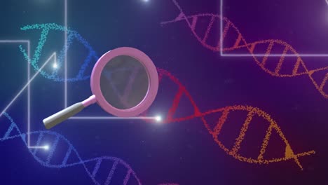 Animation-of-magnifying-glass-spinning-over-dna-strands-on-purple-background