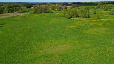 Aerial-drone-shot-of-a-green-meadow-in-an-isolated-rural-environment