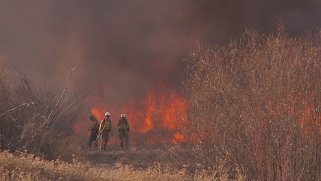 firefighters look on as a blaze burns out of control in california 1