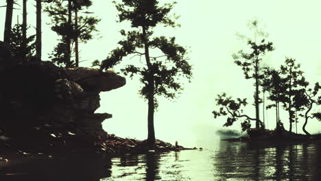 misty lake in a dark forest