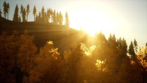 bright sunset in the mountains with forest