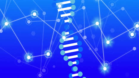 Animation-of-dna-strand-and-networks-of-connections