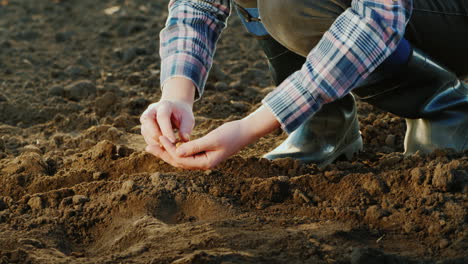 a farmer plants grain in his field work in the garden