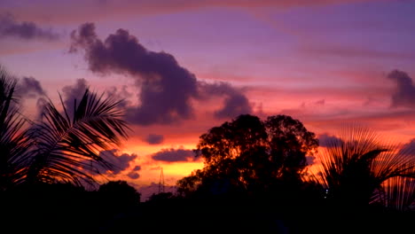 Incline-Hacia-Arriba-La-Increíble-Puesta-De-Sol-Naranja-Y-Rosa,-Las-Siluetas-Dramáticas-De-Los-árboles-Del-Cielo-Nublado