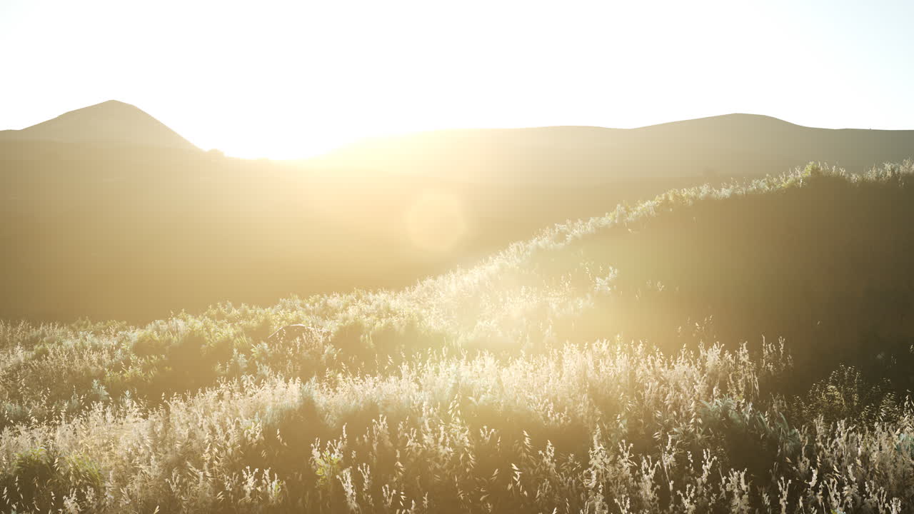 계곡  ⁇  위에 해가 지는 것