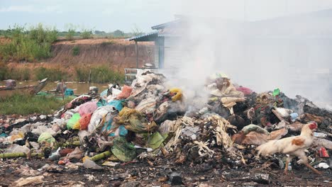 fumar basura ardiendo en una pila