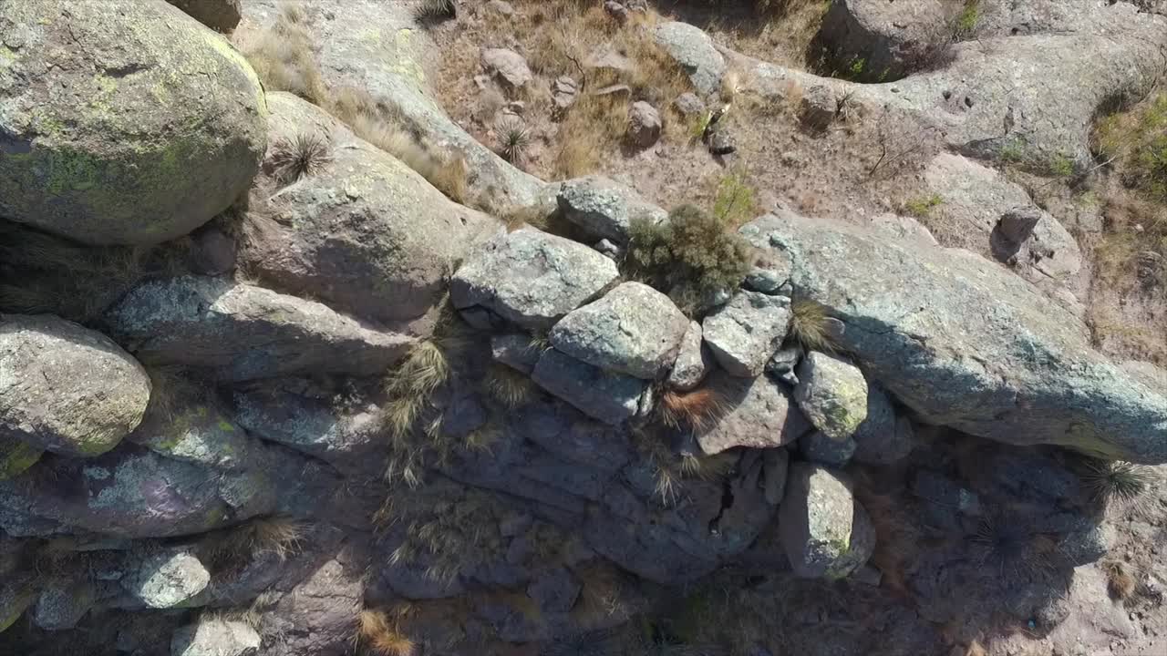 este anillo tu alrededor del desierto