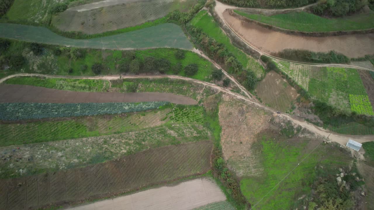 Farmland with cultivated fields and winding dirt paths in the countryside, aerial view