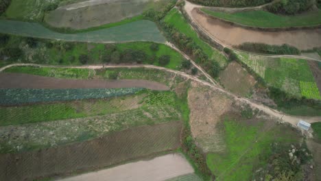 farmland with cultivated fields and winding dirt paths in the countryside, aerial view