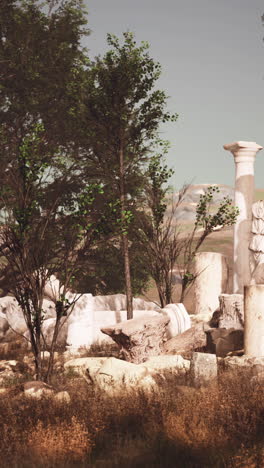 ancient ruins overgrown with nature