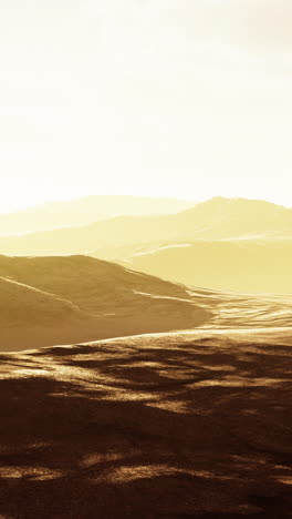 golden desert landscape