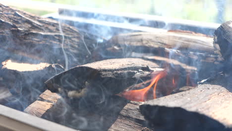 close up of a fire burning logs for a barbecue or braai