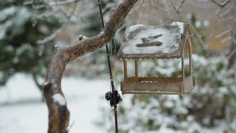 casa de pássaros de madeira pendurada em um galho de árvore coberto de neve, contra um fundo invernal borrado com galhos e vegetação cobertos de neve