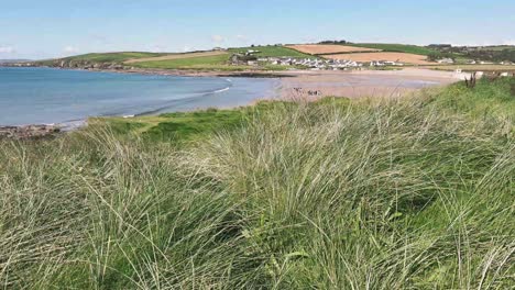 Coastal-area-in-Cork-county-Ireland-on-a-sunny-day,-with-grass-waving-on-wind-and-waves-on-sandy-beach