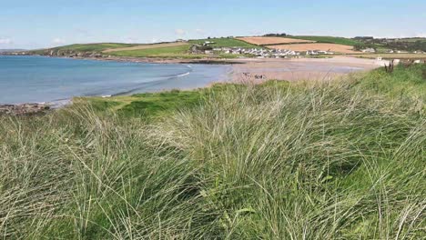 coastal area in cork county ireland on a sunny day, with grass waving on wind and waves on sandy beach