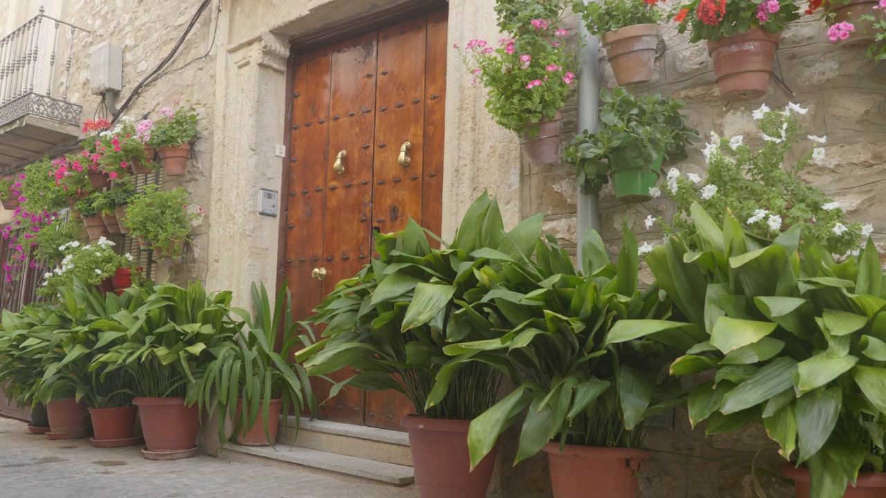 Una porta di legno antica incastonata in un muro di pietra rustico a Iznatoraf, Jaén, Spagna. L'ingresso è circondato da piante in vaso—come i gerani—e da una lussureggiante vegetazione verde, disposte sia lungo il marciapiede e