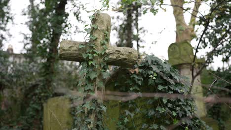 cross and gravestone covered in moss and green leaves in a forest graveyard on a cloudy day