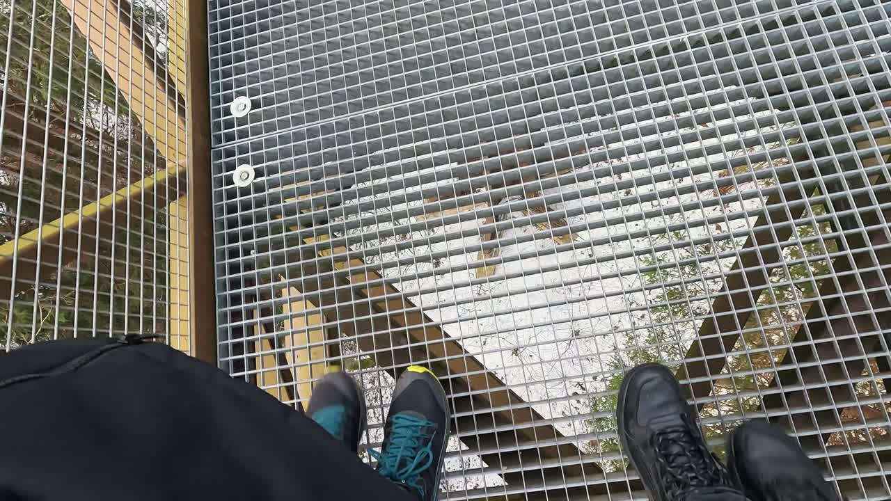 관점 나무 꼭대기 산책로 복합 anyksciai laju takas, anyksciai 소나무, 전망대 및 sventoji 강