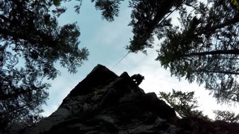 Rock-climber-climbing-a-cliff-in-the-forest-4k