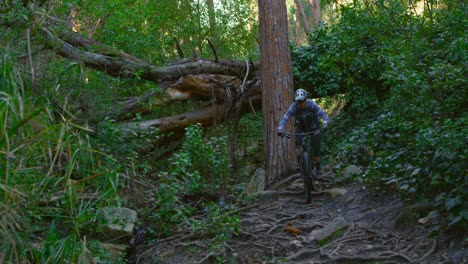 man riding bicycle in forest 4k