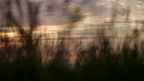 Bushes blow subtly in the wind by the lake