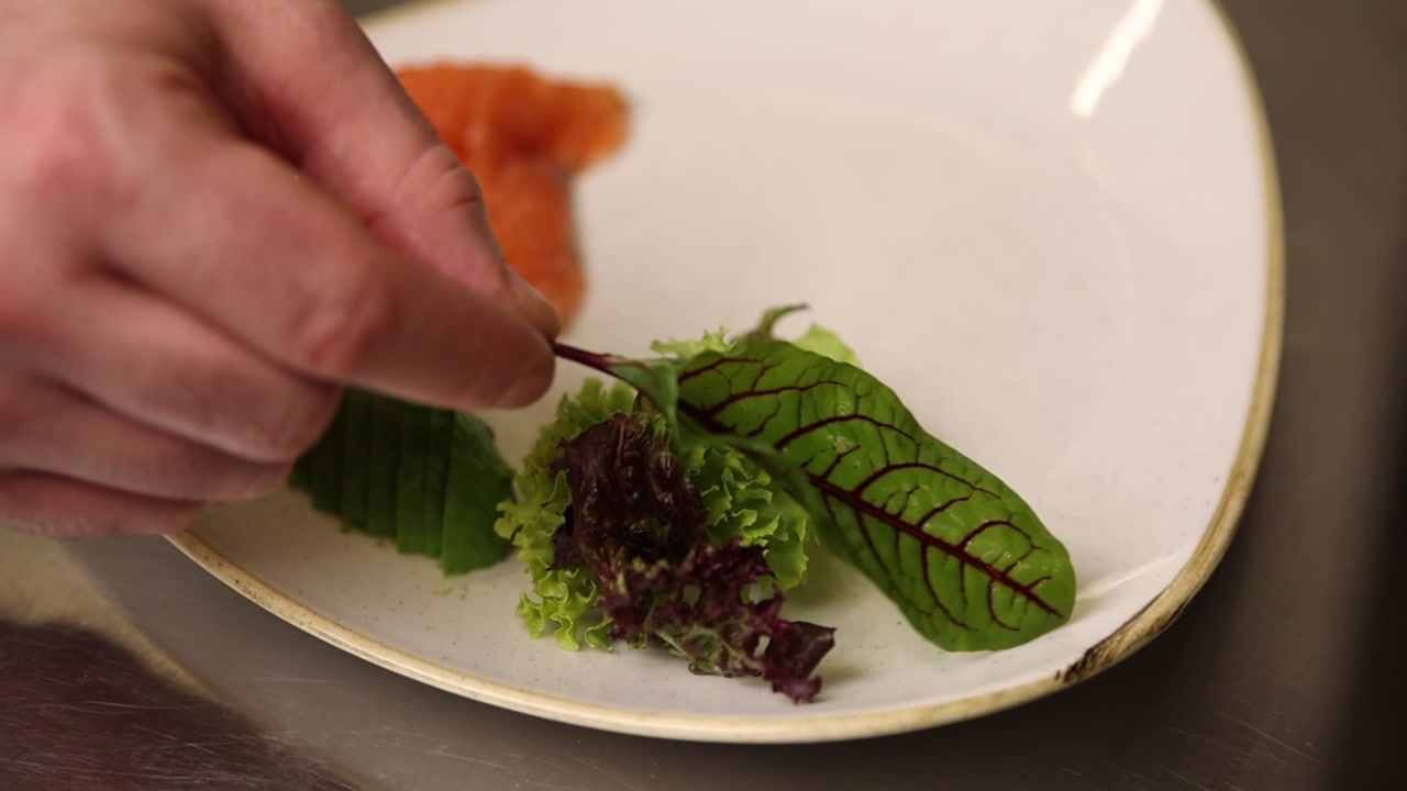 Menata Salad Salmon dan Alpukat Sehat dengan Sayuran Hijau