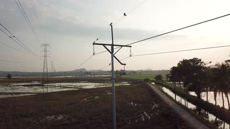 aerial ascending the electric pole with crows on it.