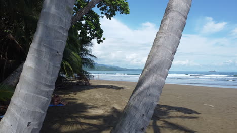 tropical idylic beach with palm trees and turqouise water in national park of costa rica