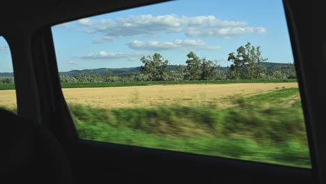 driving through countryside on summer afternoon, view through car's side window