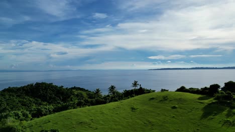 a breathtaking aerial view of catanduanes, a philippine island, featuring a lush green mountain top with trees, grasses, and the stunning ocean