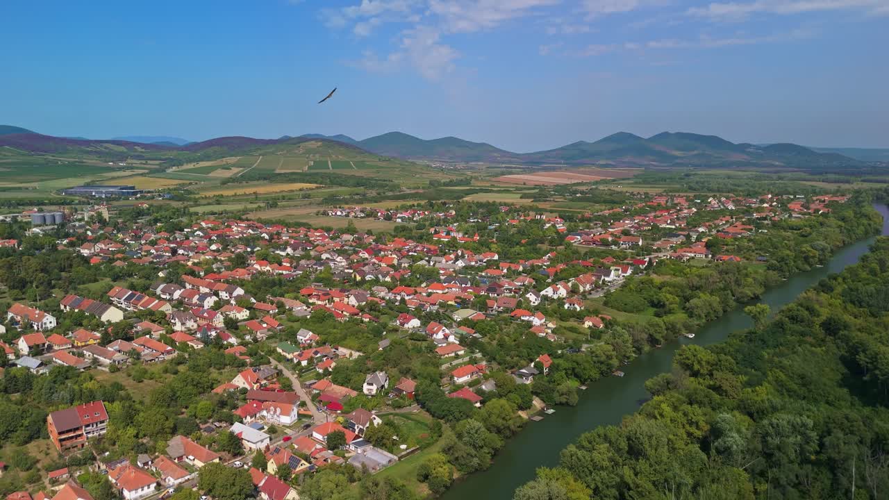 Aerial view of a huge prey of birds circulates above Sárospatak and the Bodrog River on a sunny autumn day in Hungary