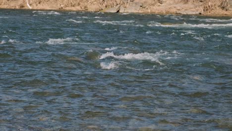 hand throws a stone into the river