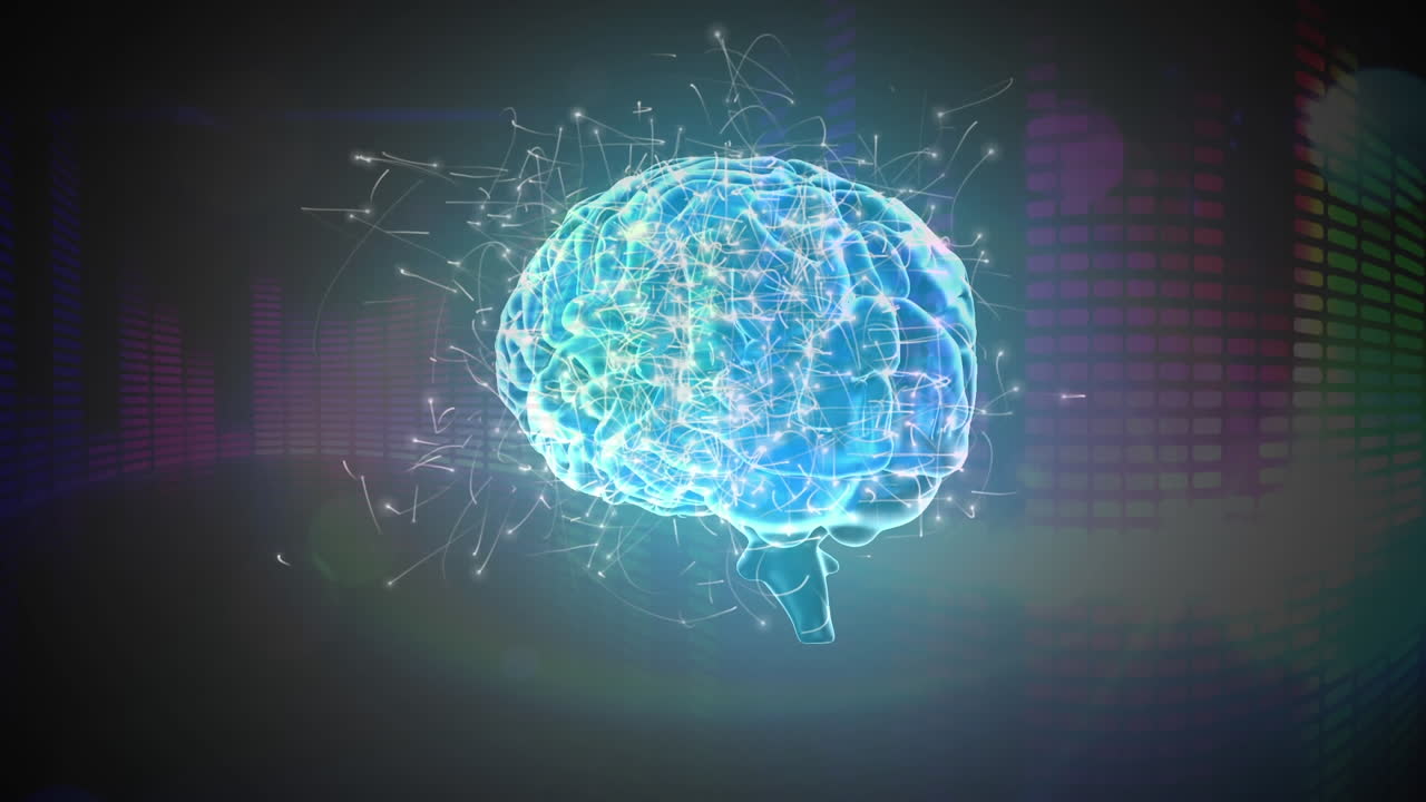 Digital brain and the media art