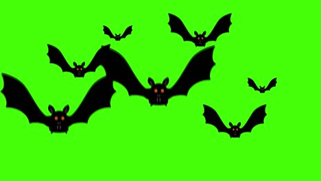 pájaro murciélago volando, fuente gráfica clave de croma, elemento de halloween