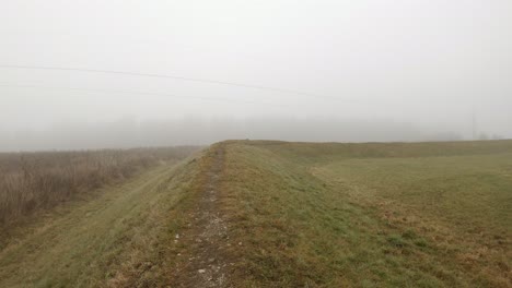 drive by bike over a foggy, tight path at a little hill, cross biking at an autumn morning besides a tree at daytime at the fresh air