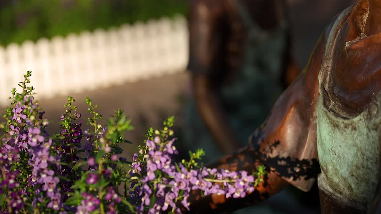 화려한 보라색 꽃으로 둘러싸인 청동 동상