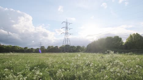 rising shot of power lines electric pylon on a sunny day green field