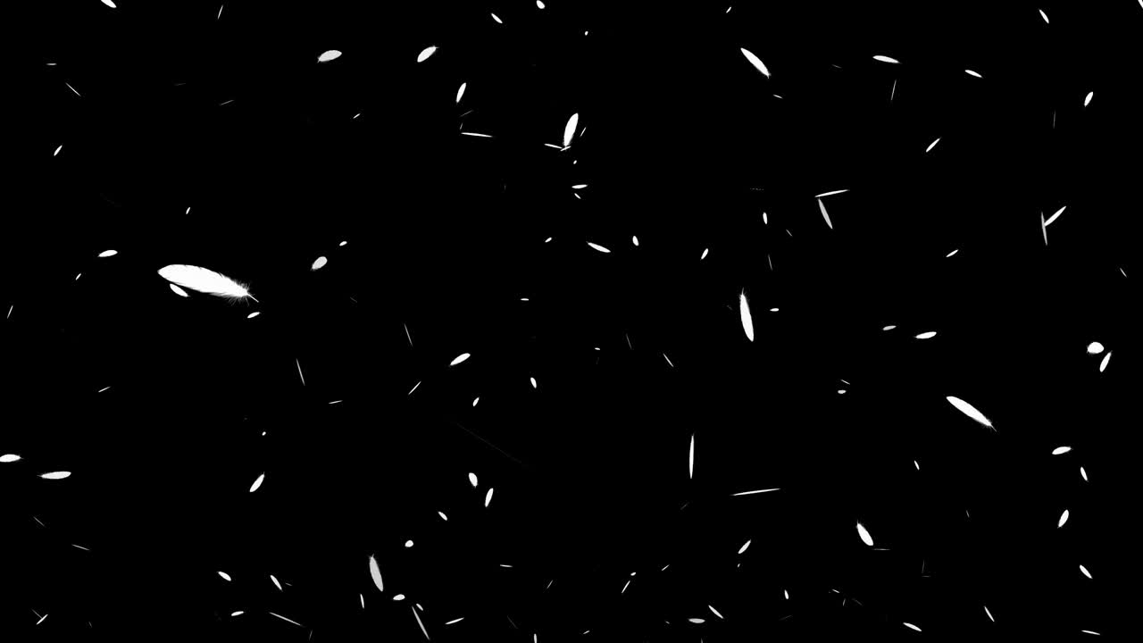 White feathers soaring particles motion graphics