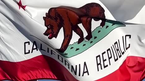 The-California-state-flag-waving-and-blowing-in-the-wind---isolated-slow-motion