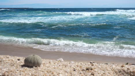 Strand-Mit-Meereswellen-Im-Hintergrund