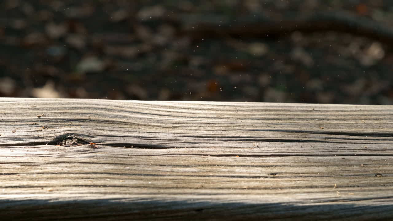 Close-up of a wooden surface