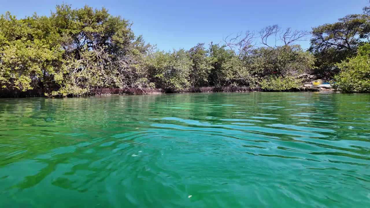 Perspectiva em primeira pessoa remando um caiaque com uma pá laranja ao longo de uma lagoa calma e de águas verde-esmeralda cristalinas, margeada por um ecossistema de mangue exuberante e selvagem em um dia ensolarado
