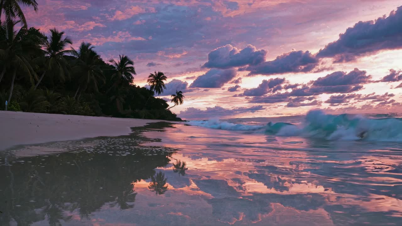 A serene beach sunset video with a low-angle view, capturing waves and palm trees under a vibrant