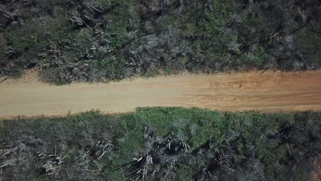 View-from-above-of-a-white-car-traveling-along-the-east-side-of-Bonaire,-in-the-Dutch-Caribbean,-in-south-America