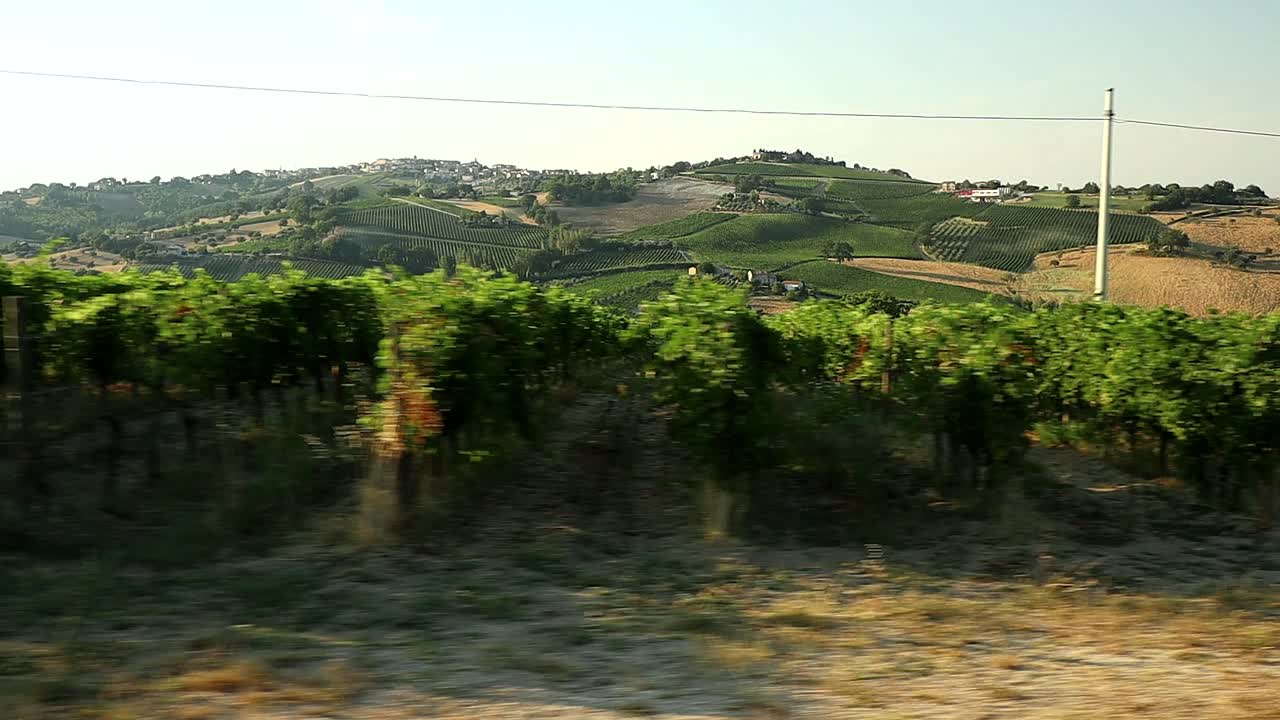 Vineyards of a production area of Verdicchio wine seen from a car traveling through the Italian hills