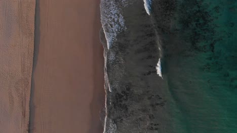 drone aerial view of an exotic beach with gold sand and turquoise waters in matadouro, portugal