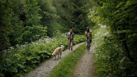 Two-girls,-a-blonde-and-a-brunette-in-a-specially-tourist-uniform,-walk-along-a-beautiful-green-forest-along-a-special-ladder-with-their-big-dog