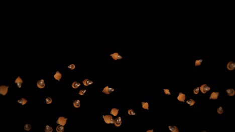 volando muchas bellotas de otoño en fondo negro. símbolo de la caída, nueces de roble, regalos de la caída. animación 3d de semillas de bellota girando. animación de bucle.